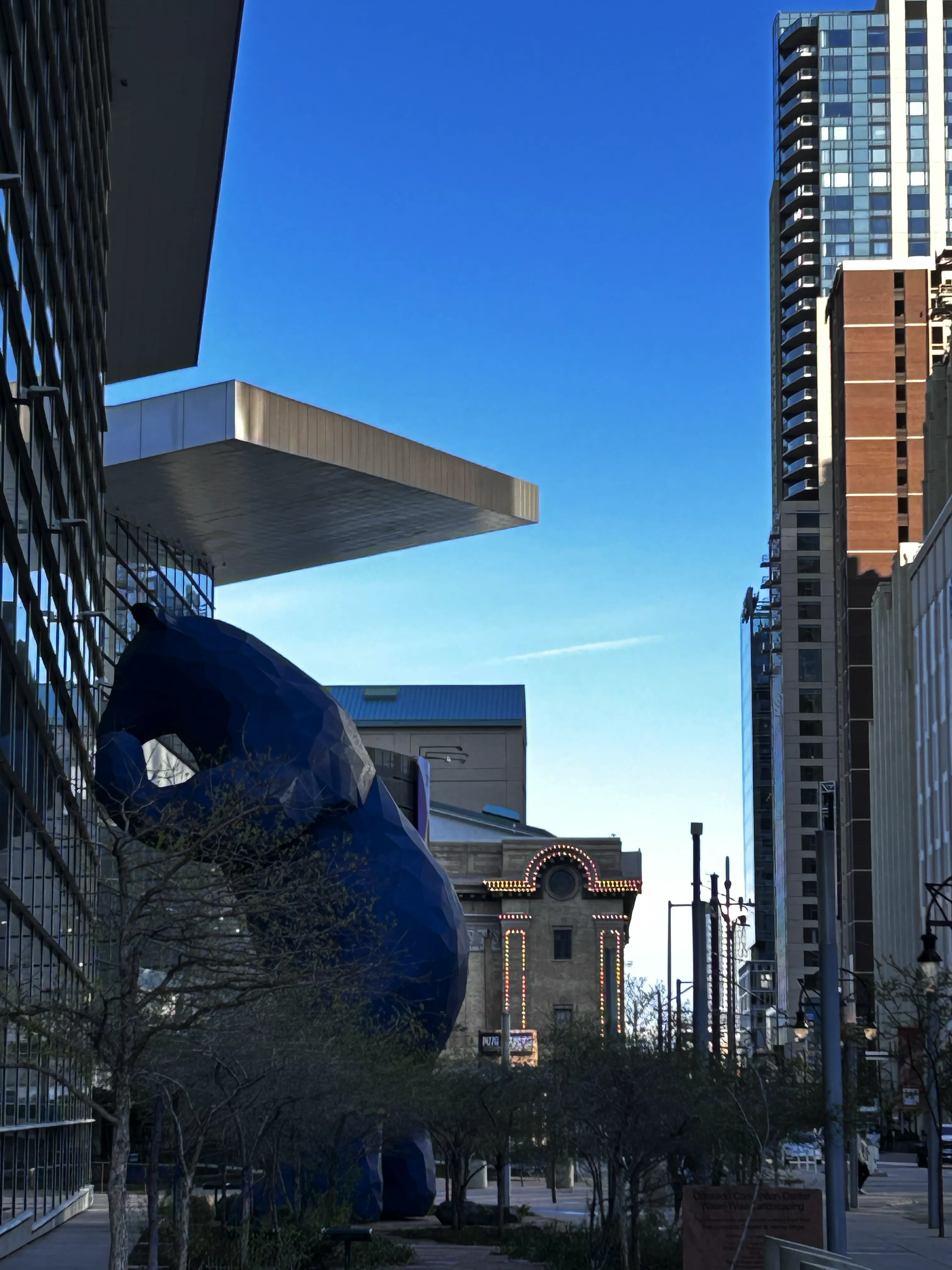 趴着往里瞧的蓝熊